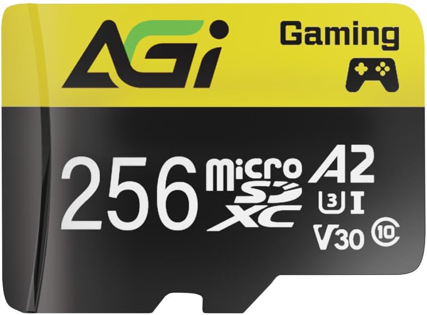 AGI TF138 Carte Micro SD 256 Go